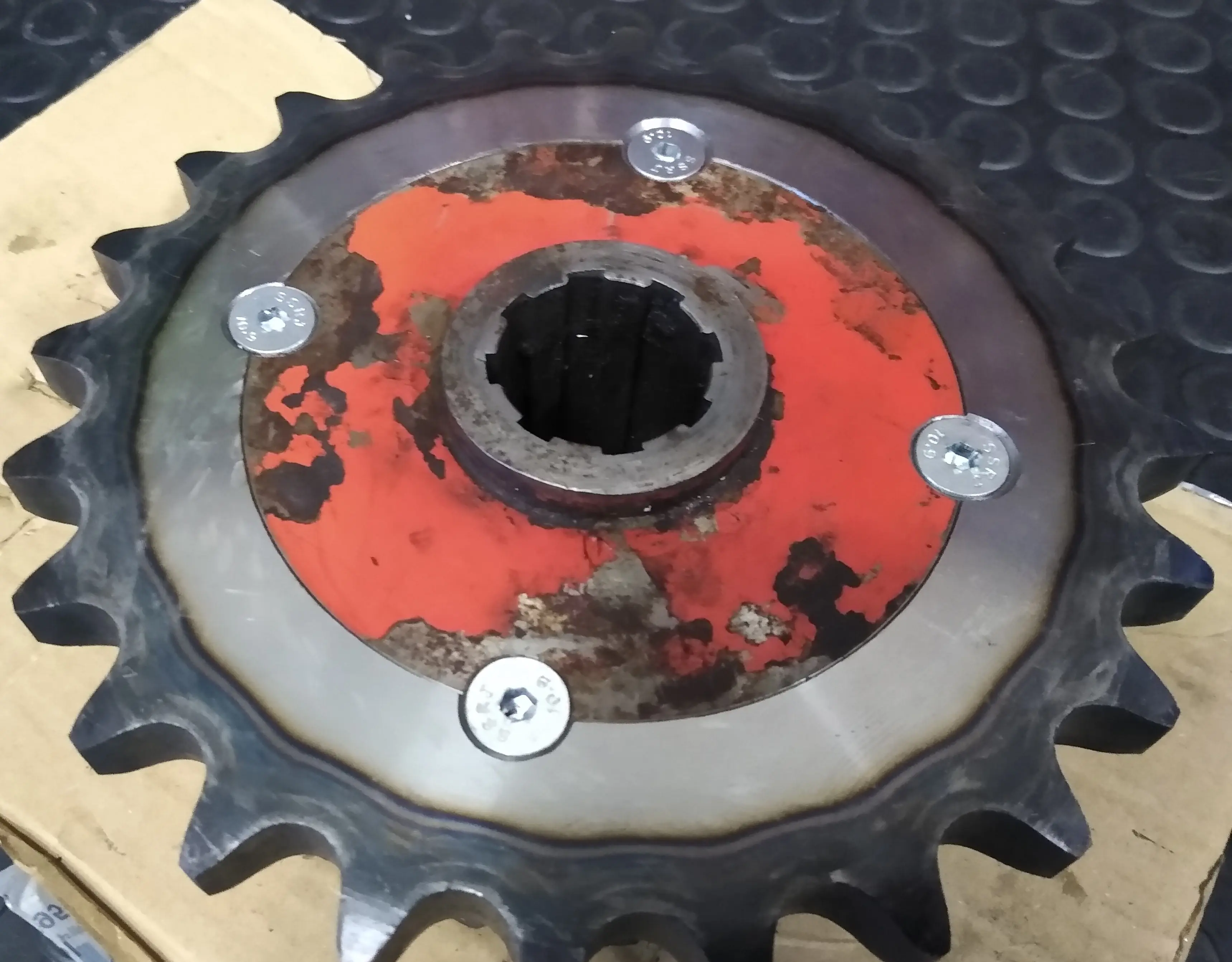 Zdjęcie portfolio 10